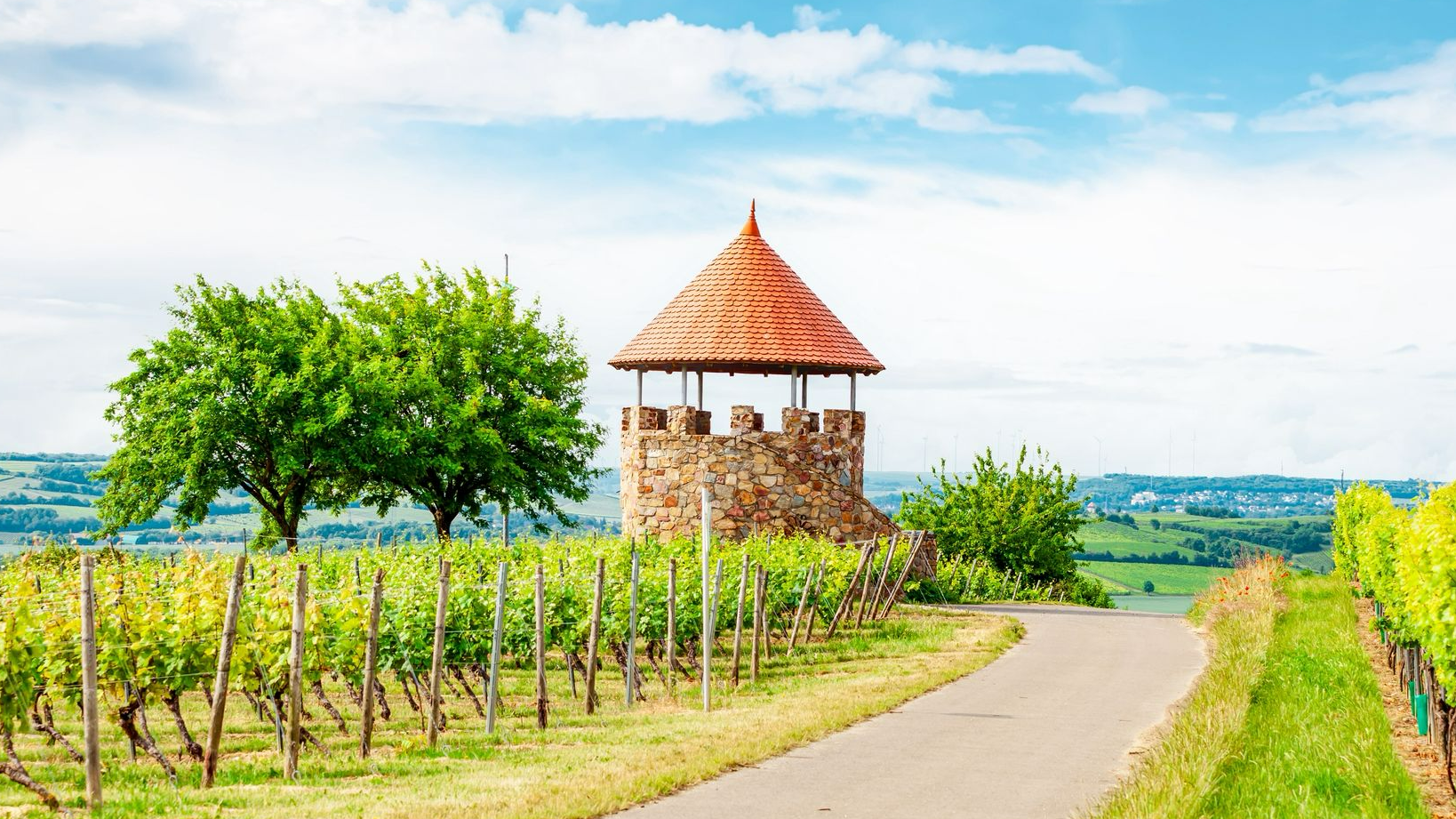 Header Background Medium